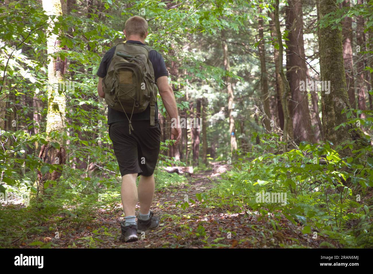 Escursioni nei boschi attività estive persone stili di vita attivo spazio copia sfondi viaggi avventura all'aperto Foto Stock