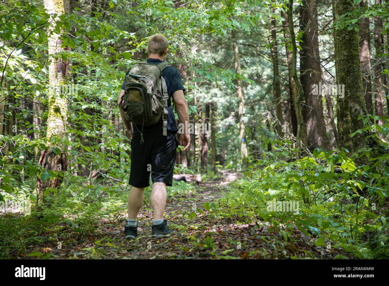 Escursioni nei boschi attività estive persone stili di vita attivo spazio copia sfondi viaggi avventura all'aperto Foto Stock