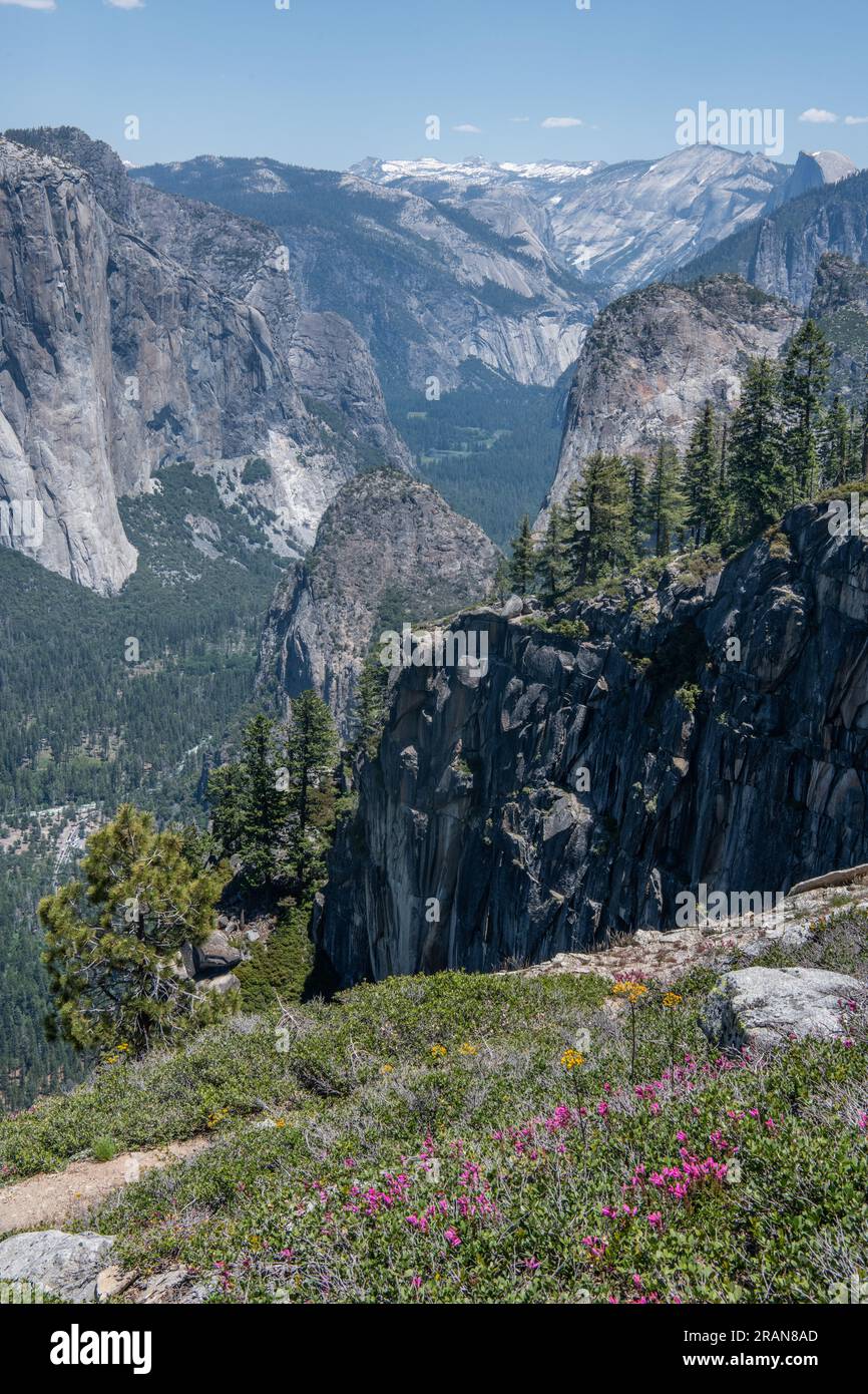 Una vista del paesaggio selvaggio con le montagne della Sierra Nevada e la valle di Yosemite nel parco nazionale di Yosemite in California, Stati Uniti. Foto Stock