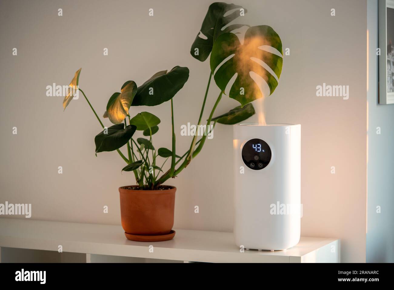 Umidificatore moderno a casa, inumidisce l'aria secca circondata da piante  interne. Appartamento con idratante Foto stock - Alamy