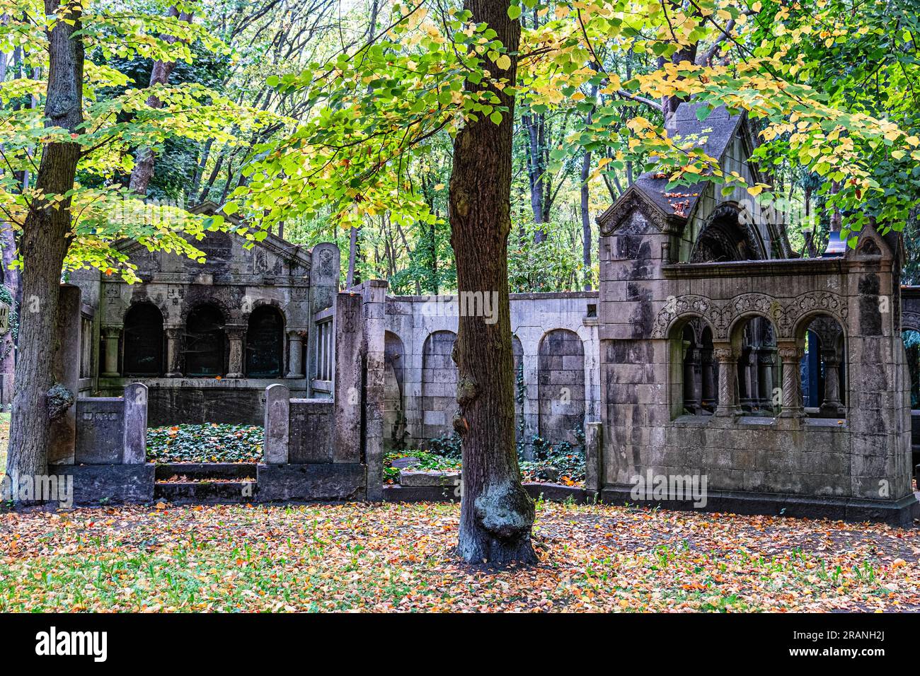 Tombe in autunno nel cimitero ebraico di Weissensee, Herbert Baum Strasse, Weissensee, Pankow, Berlino, Germania. Foto Stock