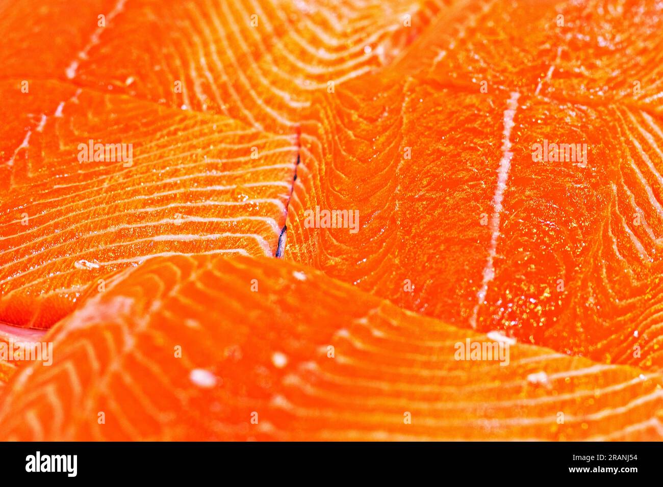 sfondo ravvicinato del filetto di pesce rosso. frutti di mare Foto Stock