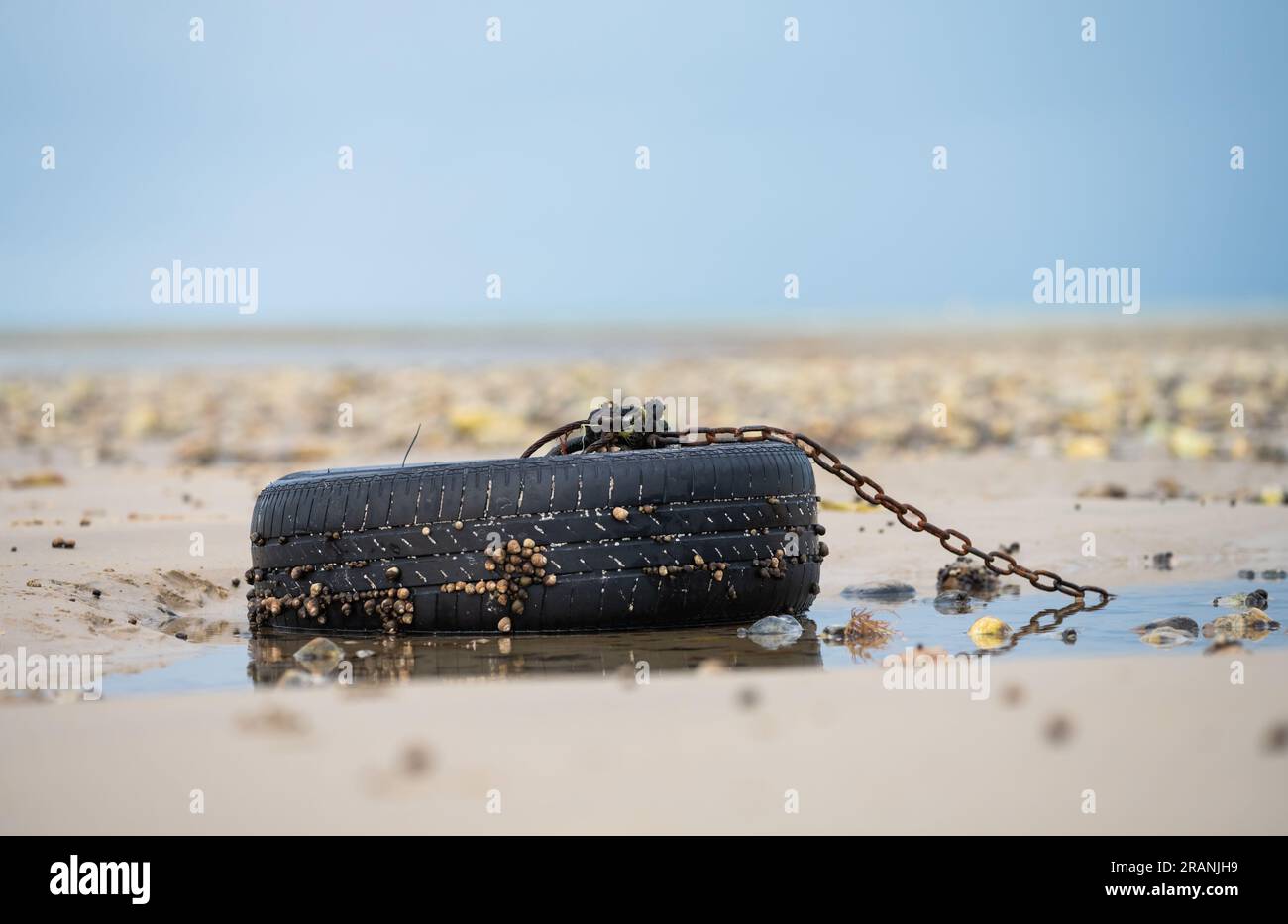 Ruota e pneumatico dell'auto appoggiati sulla sabbia su una spiaggia con bassa marea, con una catena attaccata a un galleggiante o a una boa. Rifiuti da spiaggia o rifiuti. Foto Stock