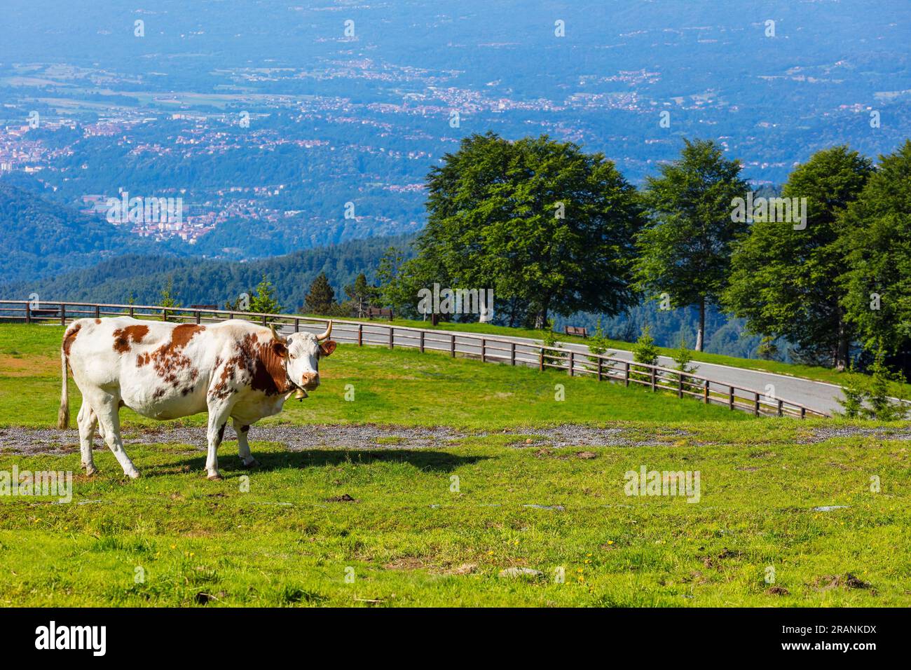 Bielmonte, biella, Piemonte, Italia, sulla strada panoramica Zegna Foto Stock