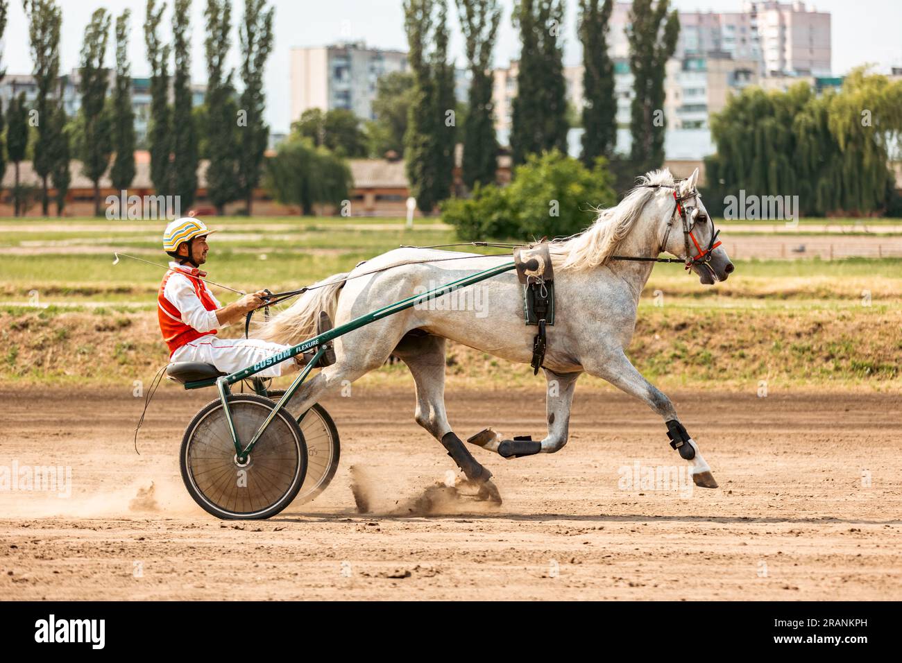 Test di cavalli di razze trotto - 02 luglio 2023: Kiev, Ucraina. Corse di cavalli all'ippodromo di Kiev. Foto Stock