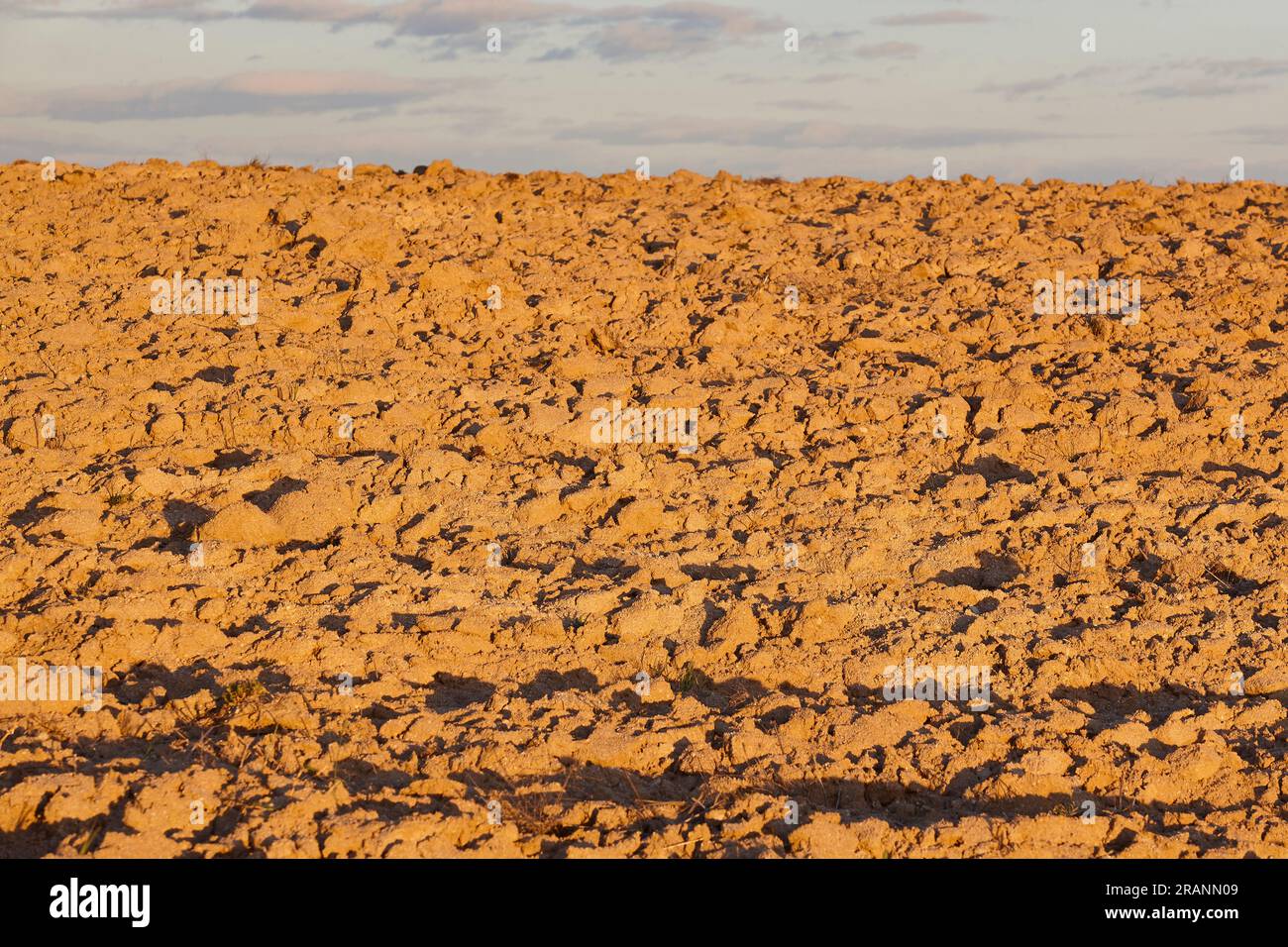 Terra secca. Allarme globale e cambiamento climatico. Siccità e desertificazione Foto Stock