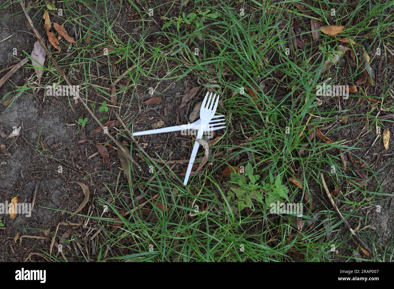 Plastica nella foresta, ecologia nel parco, forche in plastica, dopo il picnic, problemi sociali Foto Stock