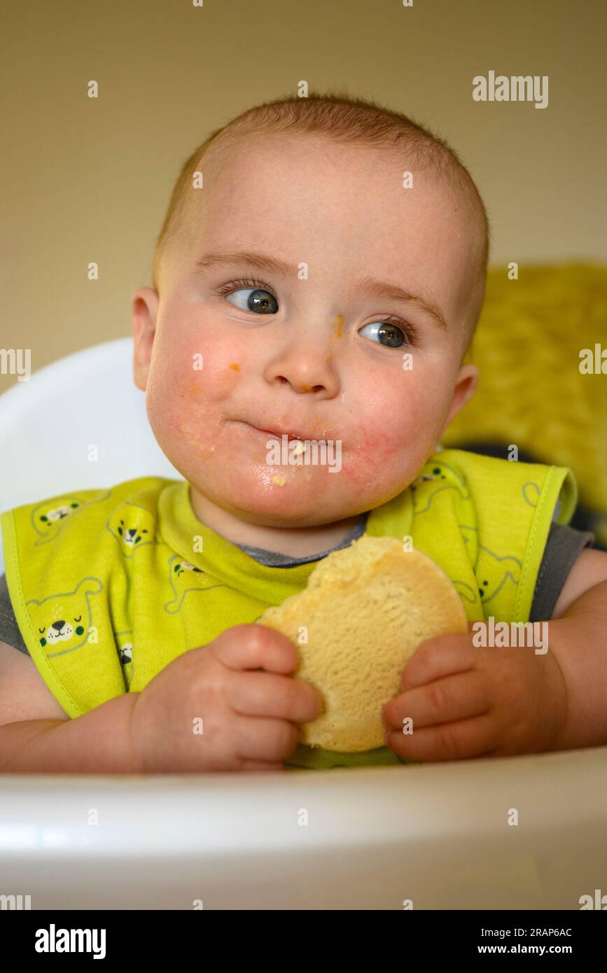 Adorabile bambino seduto su una sedia a sdraio a mangiare un biscotto rusk e sorridere Foto Stock