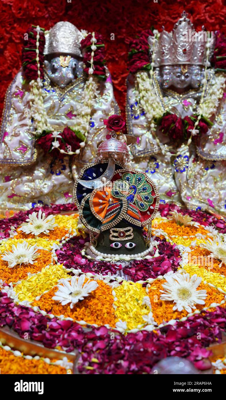 Beawar, Rajasthan, India, 3 luglio 2023: Una scultura in pietra di Lord Shiva decorata con fiori colorati in occasione di Guru Purnima e l'inizio del mese santo di Shravan al tempio Mahadev Chhatri a Beawar. Credito: Sumit Saraswat/Alamy Live News Foto Stock