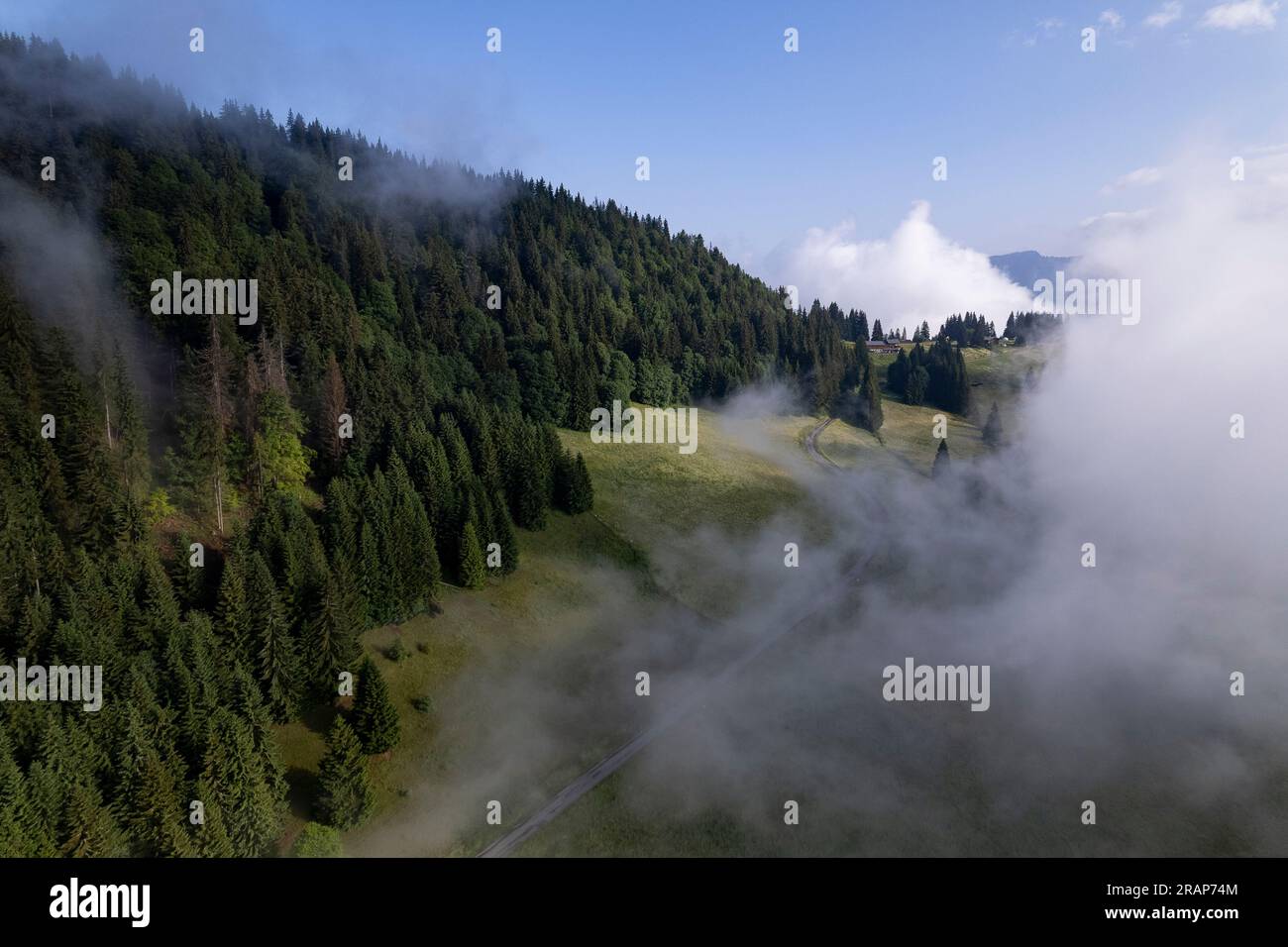 Panorama aereo del pendio montano con prati verdi e divisori di pini con nubi che oscurano metà del paesaggio. Concetto di condizioni meteorologiche. Foto Stock