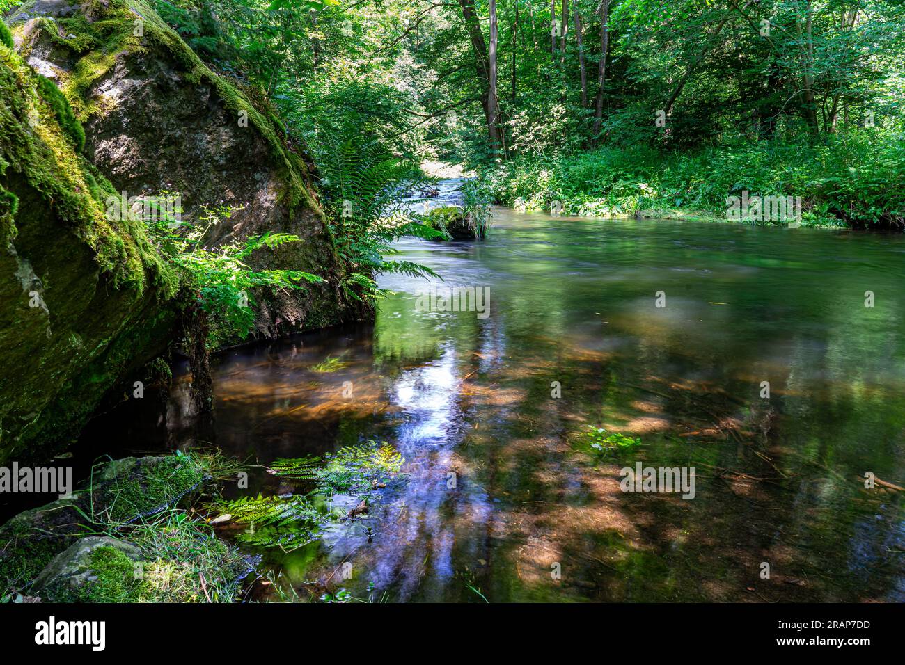 Flusso nella foresta verde Foto Stock