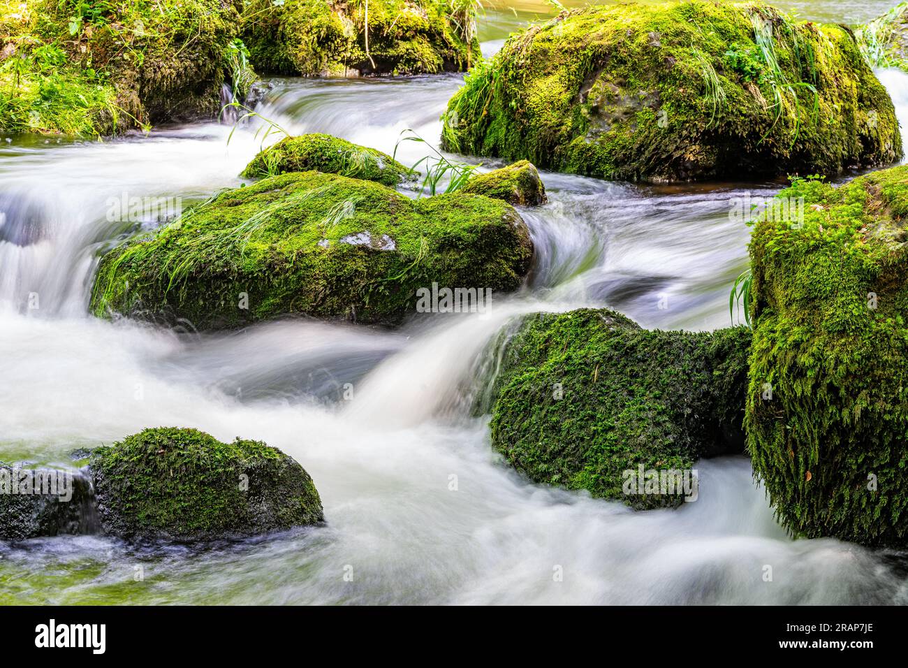 cascata del ruscello di montagna nella carta da parati della foresta Foto Stock