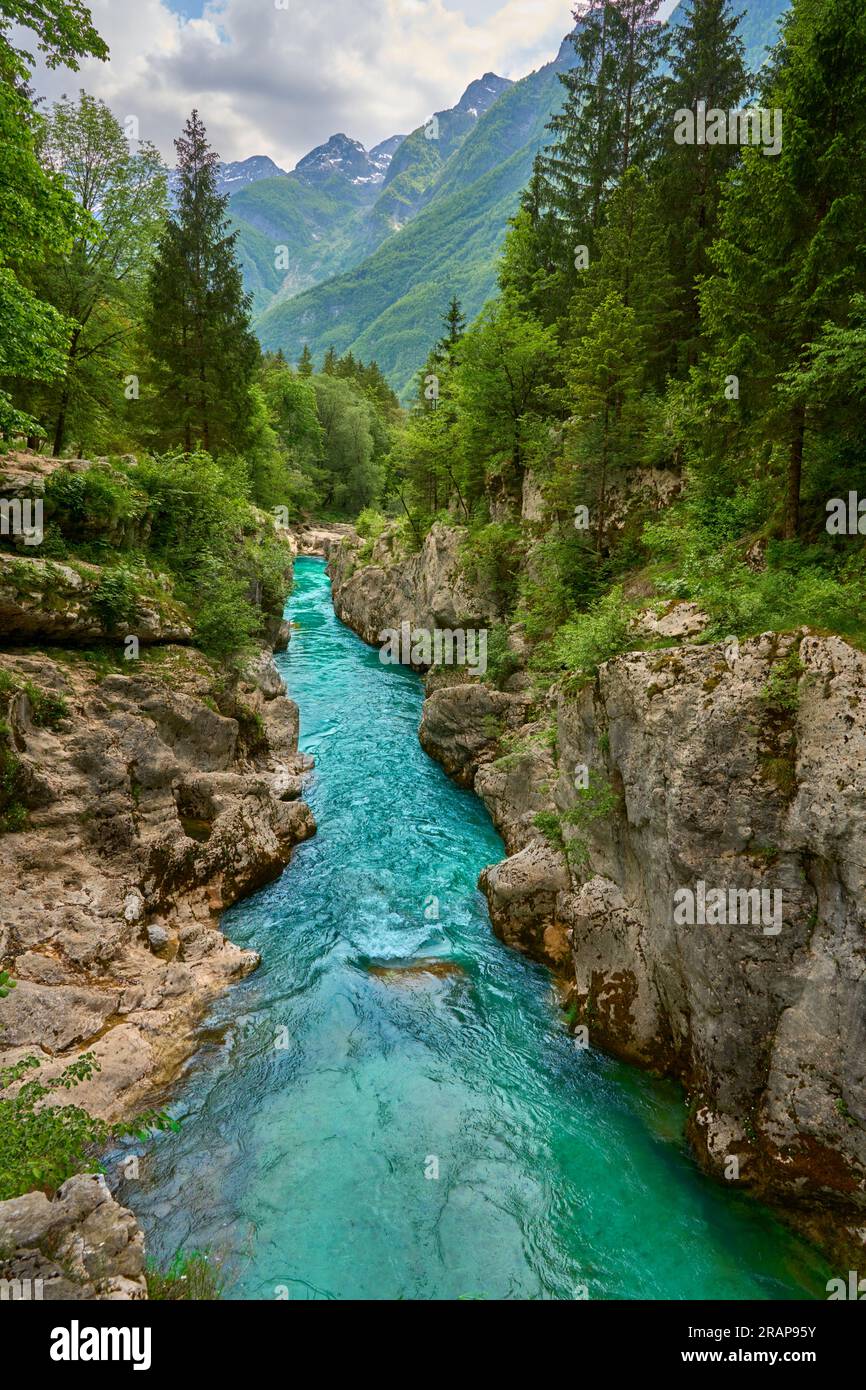 Canyon selvaggio con acque cristalline turchesi nella valle di Soca, Parco Nazionale di Trigalv vicino a Bovec, Slovenia Foto Stock