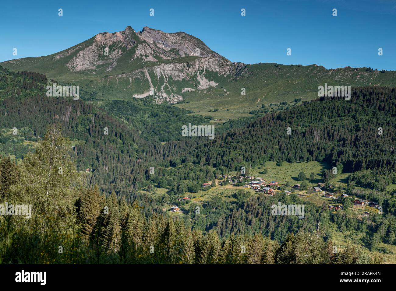 Lussureggiante e verde valle delle Alpi francesi destinazione turistica sport invernali vicino a Les Gets villaggio con cima rocciosa su un cielo blu limpido Foto Stock