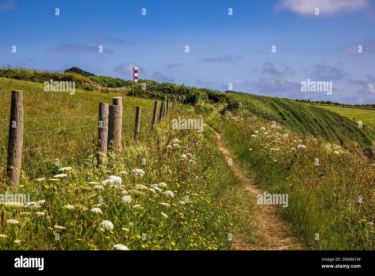 Lungo il percorso della costa sud-occidentale fino alla Gribbin Tower a Gribbin Head, Cornovaglia Foto Stock