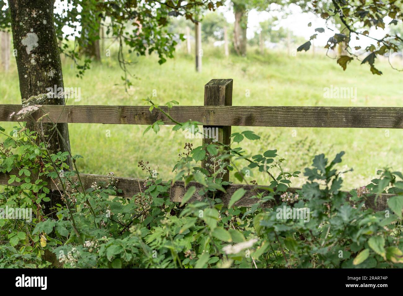Vecchia recinzione in legno nella campagna del Devon Foto Stock