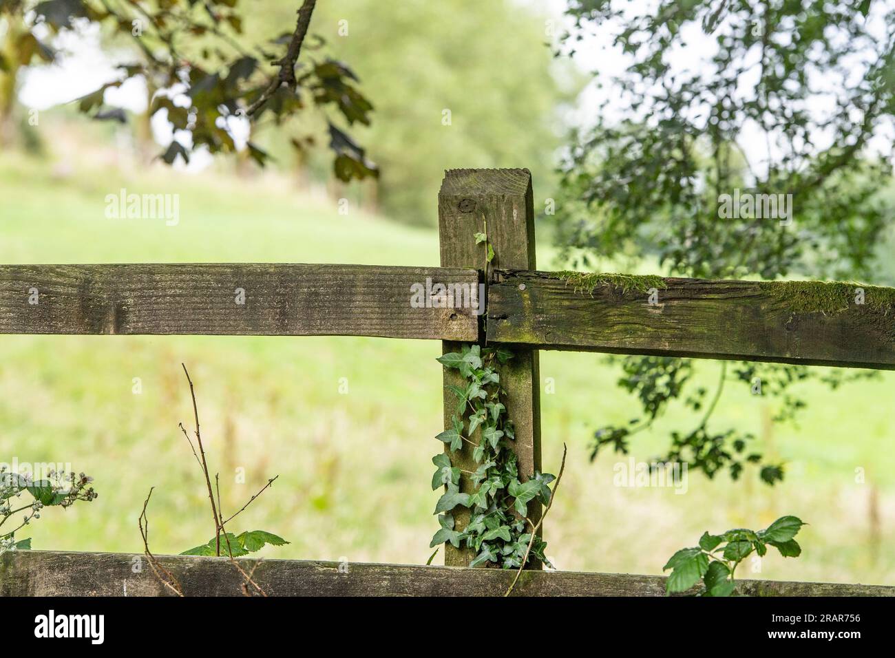 Vecchia recinzione in legno nella campagna del Devon Foto Stock