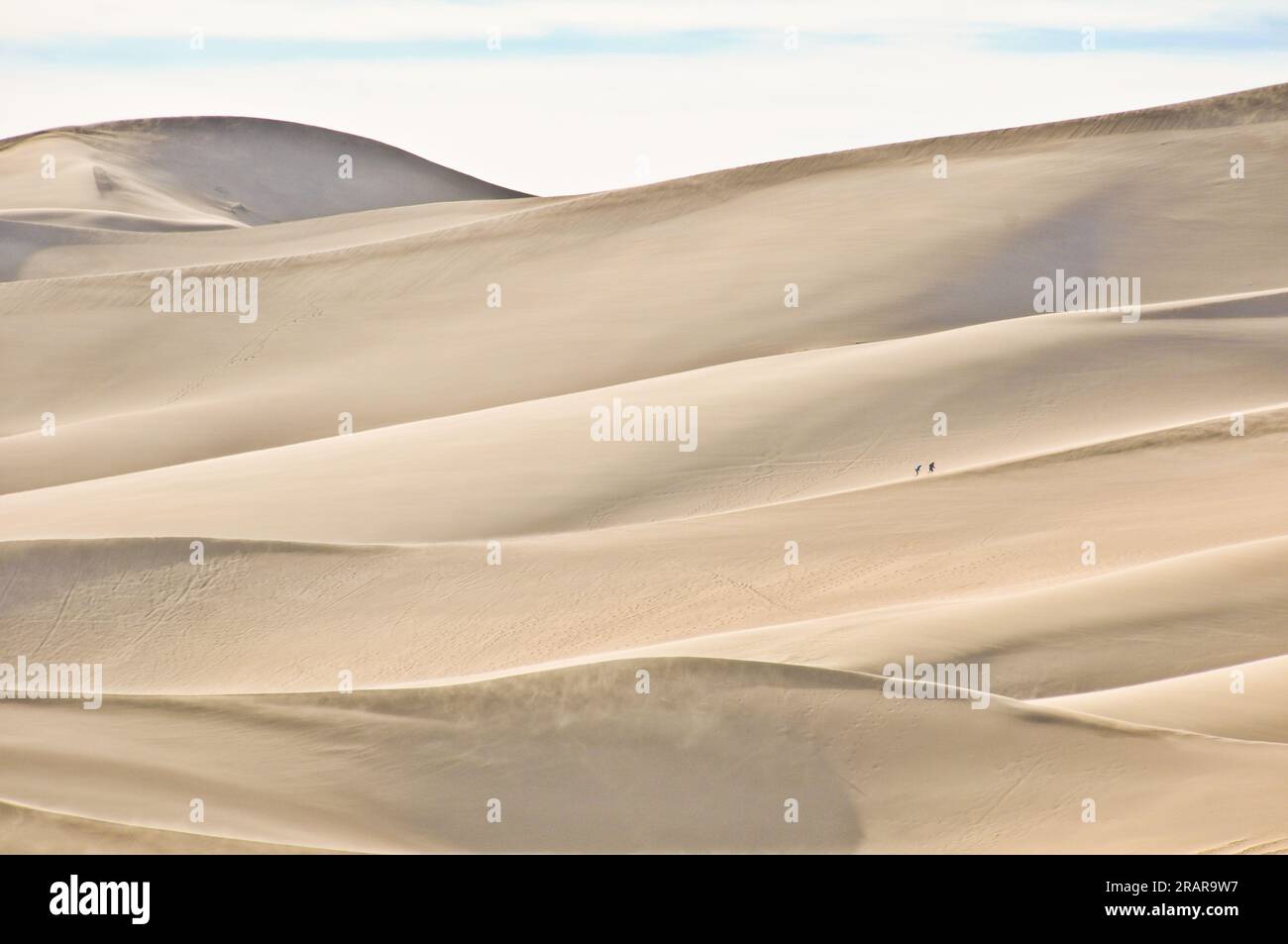 Due escursionisti che scalano un'enorme duna di sabbia nel deserto al Great Sand Dunes National Park in Colorado, Stati Uniti Foto Stock