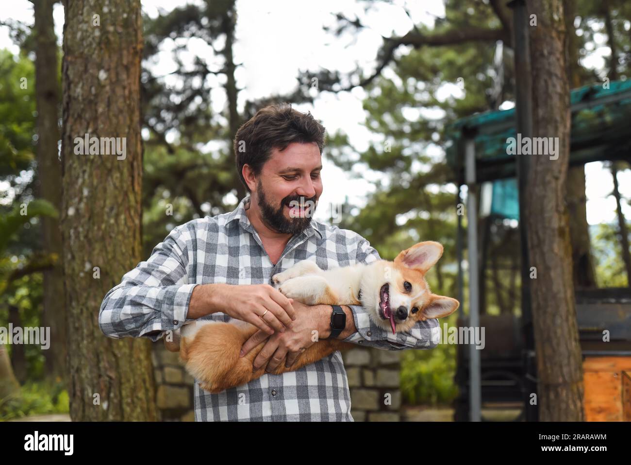 Un uomo dalla barba felice che tiene in mano il suo cane corgi gallese e sorride Foto Stock
