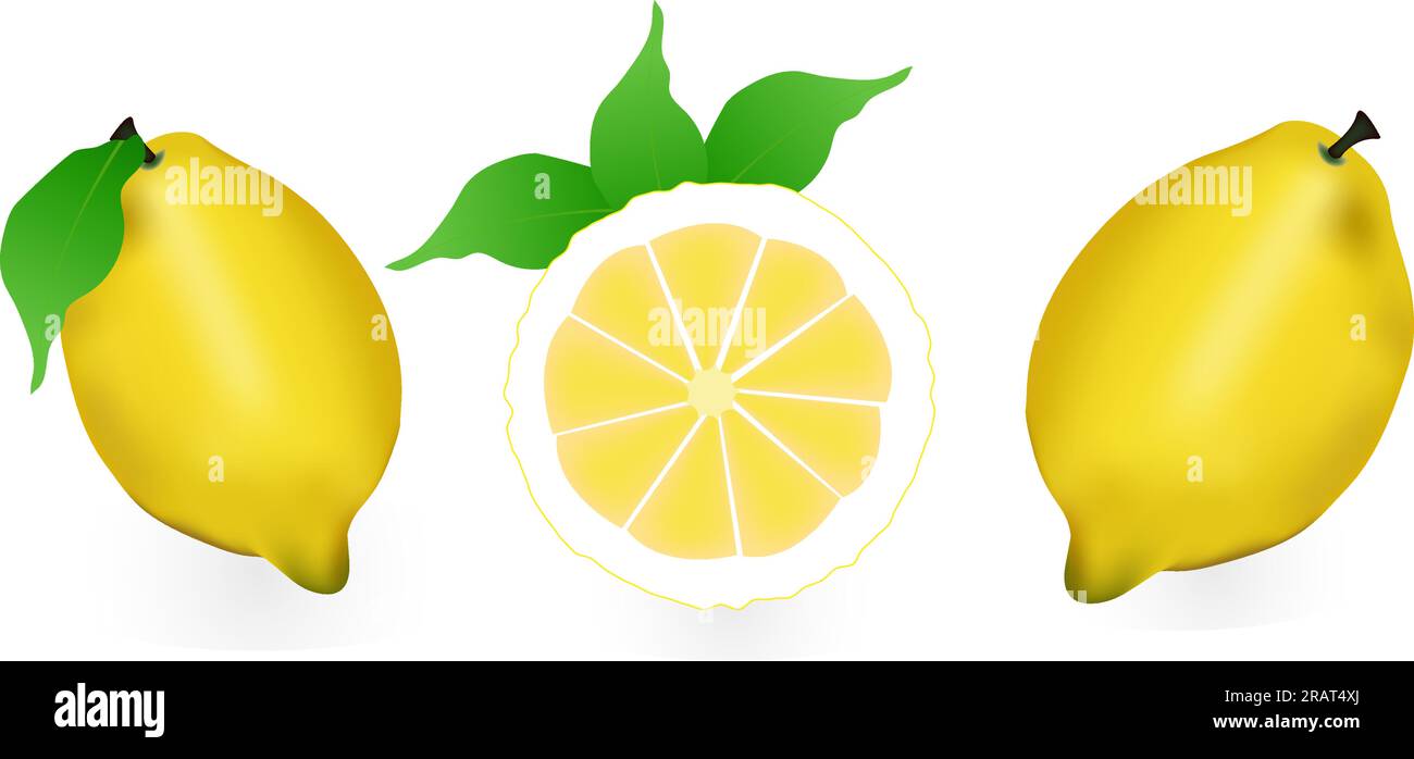 Limone realistico, intero e affettato ​​with foglia verde, frutta fresca acida, buccia gialla brillante, serie di illustrazioni vettoriali di limoni isolati Illustrazione Vettoriale