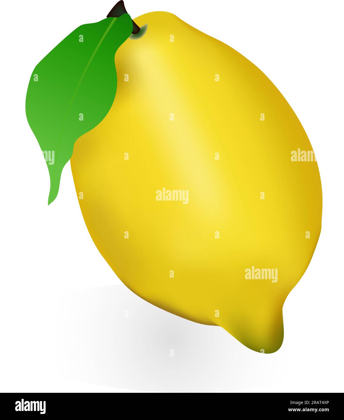 Limone realistico, intero e affettato ​​with foglia verde, frutta fresca acida, buccia gialla brillante, serie di illustrazioni vettoriali di limoni isolati Illustrazione Vettoriale