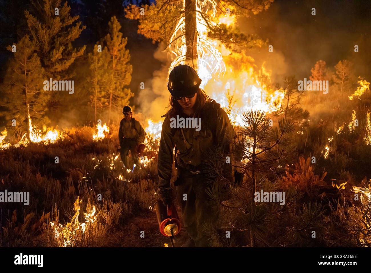 La squadra interagenzia di Ruby Mountain conduce operazioni di burnout durante il Dixie Fire, Lassen National Forest. Foto di Joe Bradshaw, BLM Foto Stock