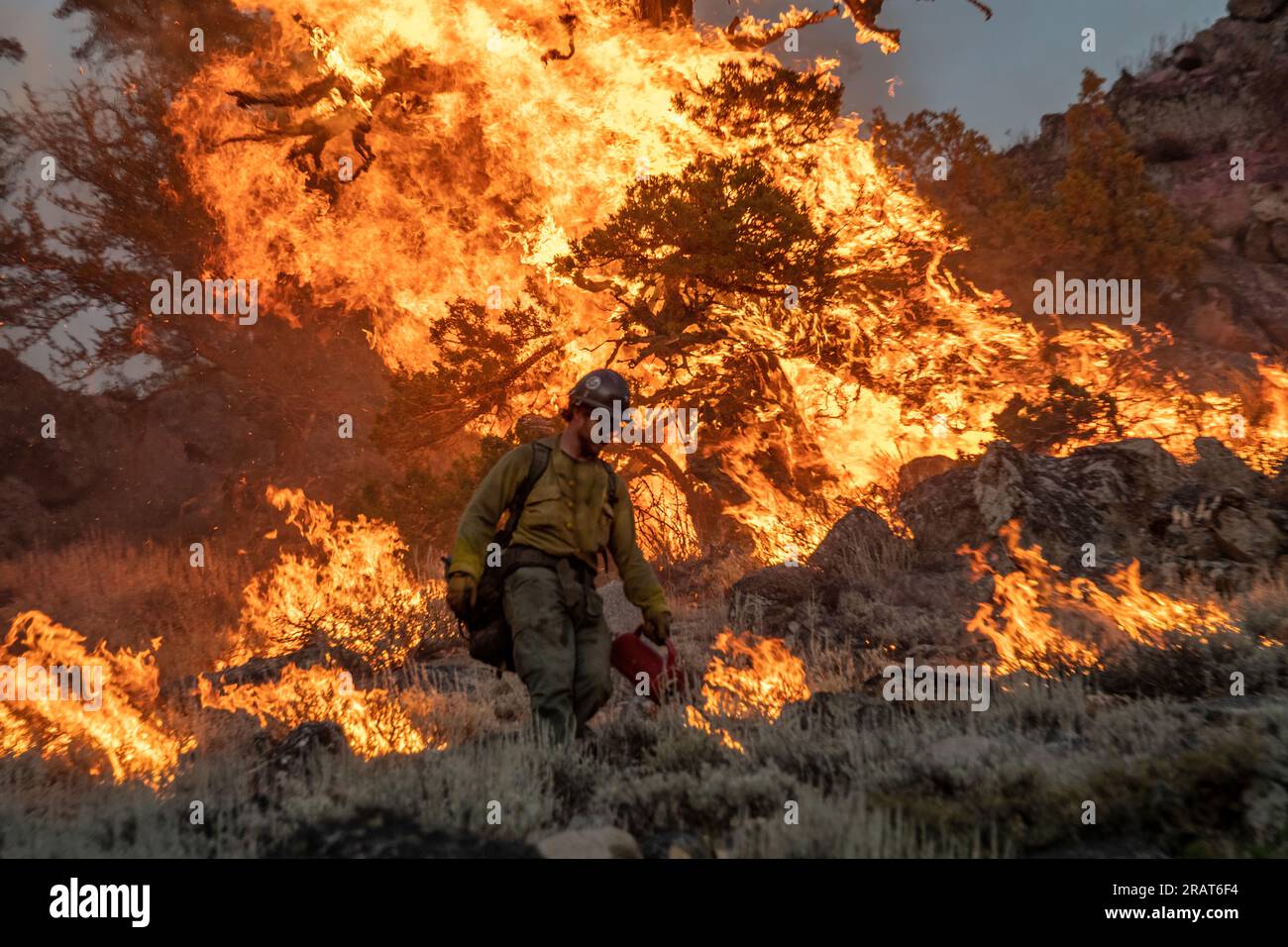 La squadra interagenzia di Ruby Mountain conduce operazioni di burnout durante il Dixie Fire, Lassen National Forest. Foto di Joe Bradshaw, BLM Foto Stock
