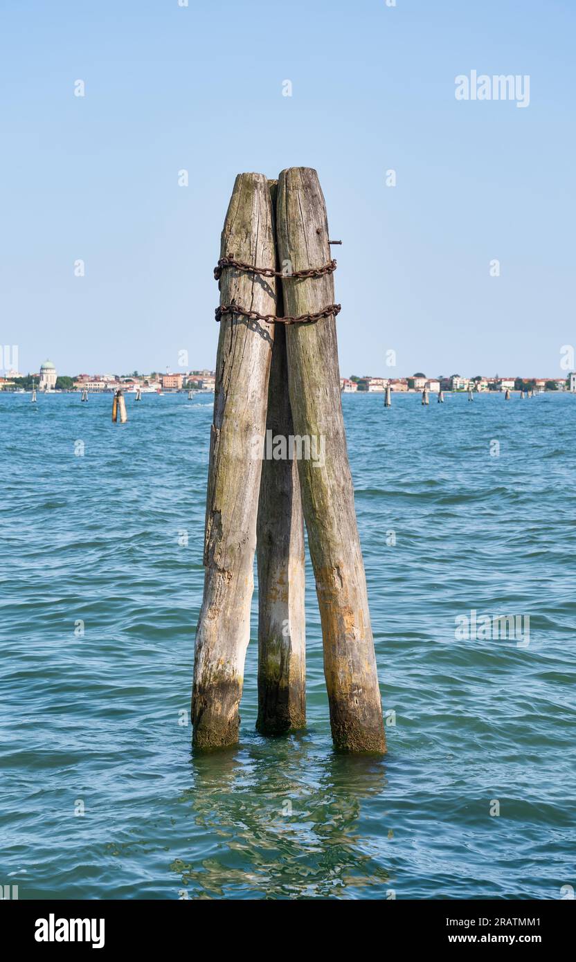 Pali verticali di legno spesso chiamati bricola (Venezia bricola) sul Canal grande di Venezia Foto Stock