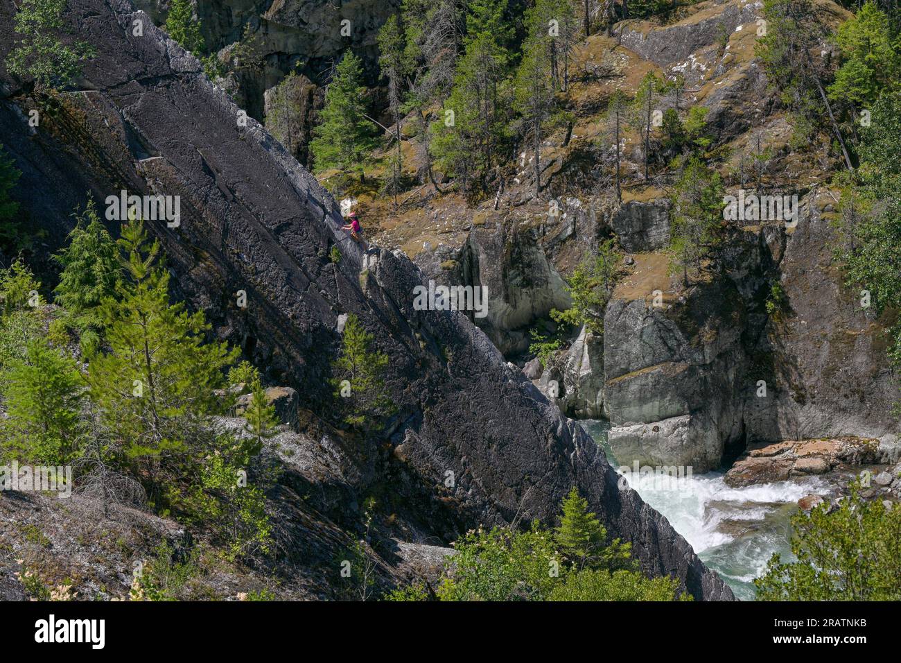 Arrampicata su roccia, sopra il Cheakamus Canyon, Sea to Sky Country, British Columbia, Canada Foto Stock
