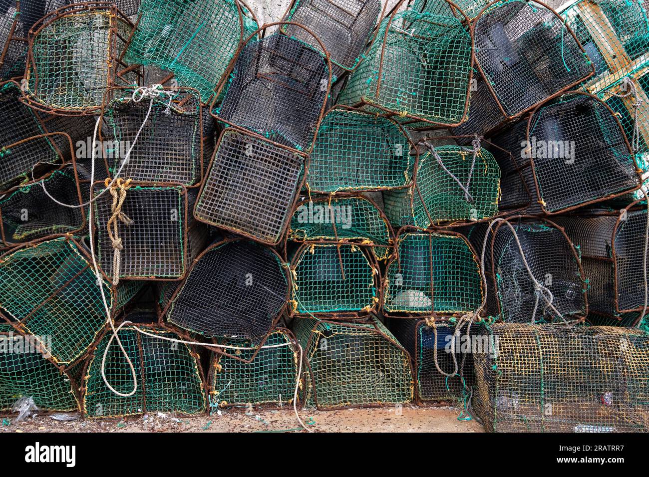 Trappole da pesca nelle Asturie in Spagna, cattura di polpi e molluschi  impilati nel porto di pesca Foto stock - Alamy