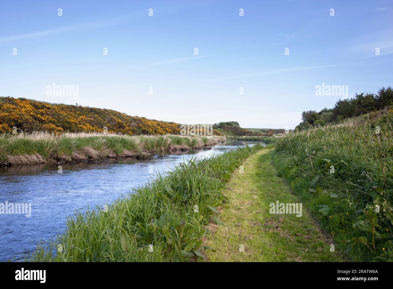 Scena tranquilla di un percorso erboso tagliato lungo le rive del fiume Ugie nell'Aberdeenshire, in Scozia. Con canne sulle rive del fiume e voi Foto Stock
