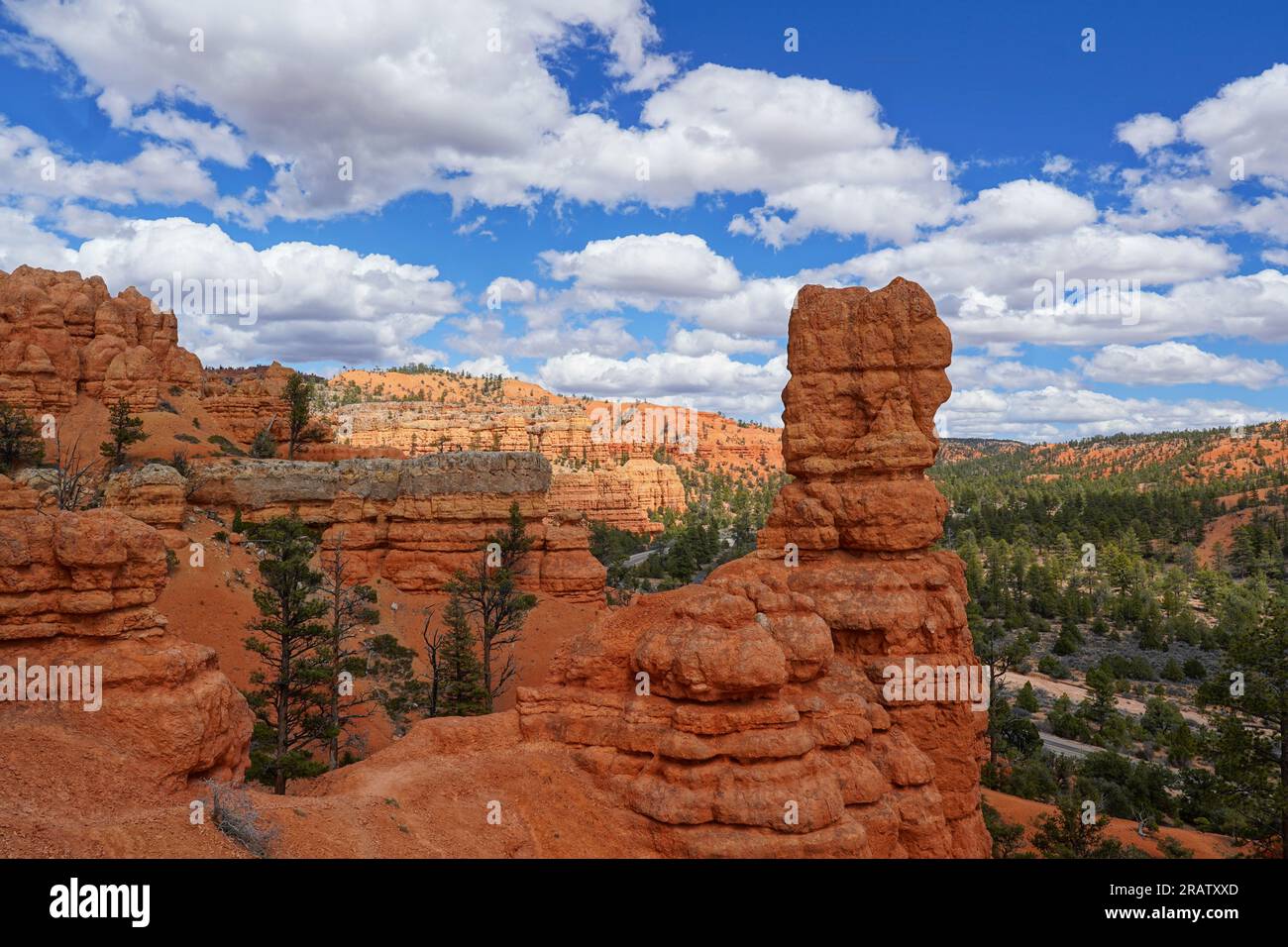 Ammira gli hoodoos del Red Canyon State Park nello Utah Foto Stock