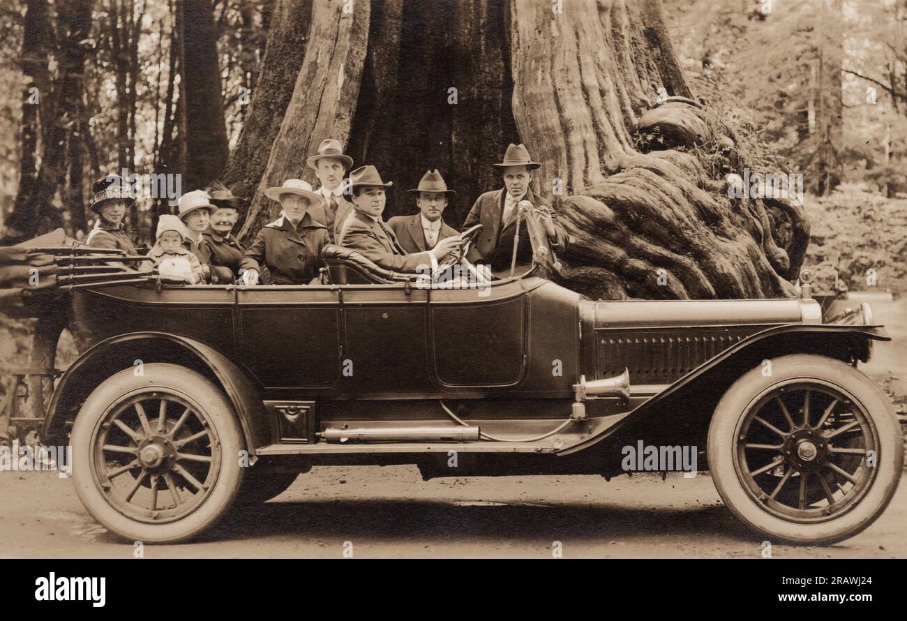 Ritratto di persone in automobile, Big Hollow Tree, Stanley Park, Vancouver BC Canada, cartolina degli anni '1920. fotografo non identificato Foto Stock