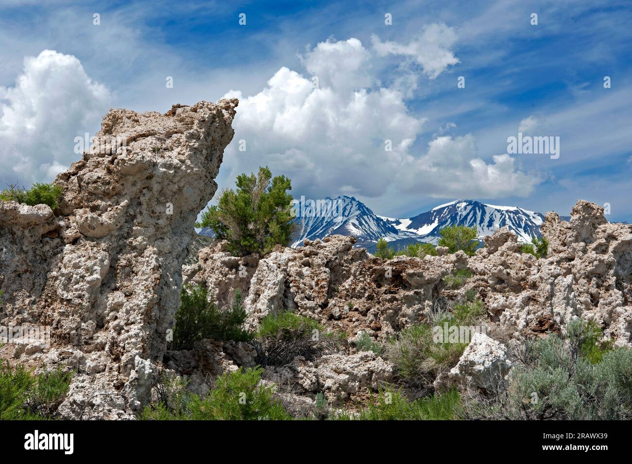 Tufo con cime innevate della catena montuosa della Sierra Nevada sullo sfondo al lago Mono, California Foto Stock