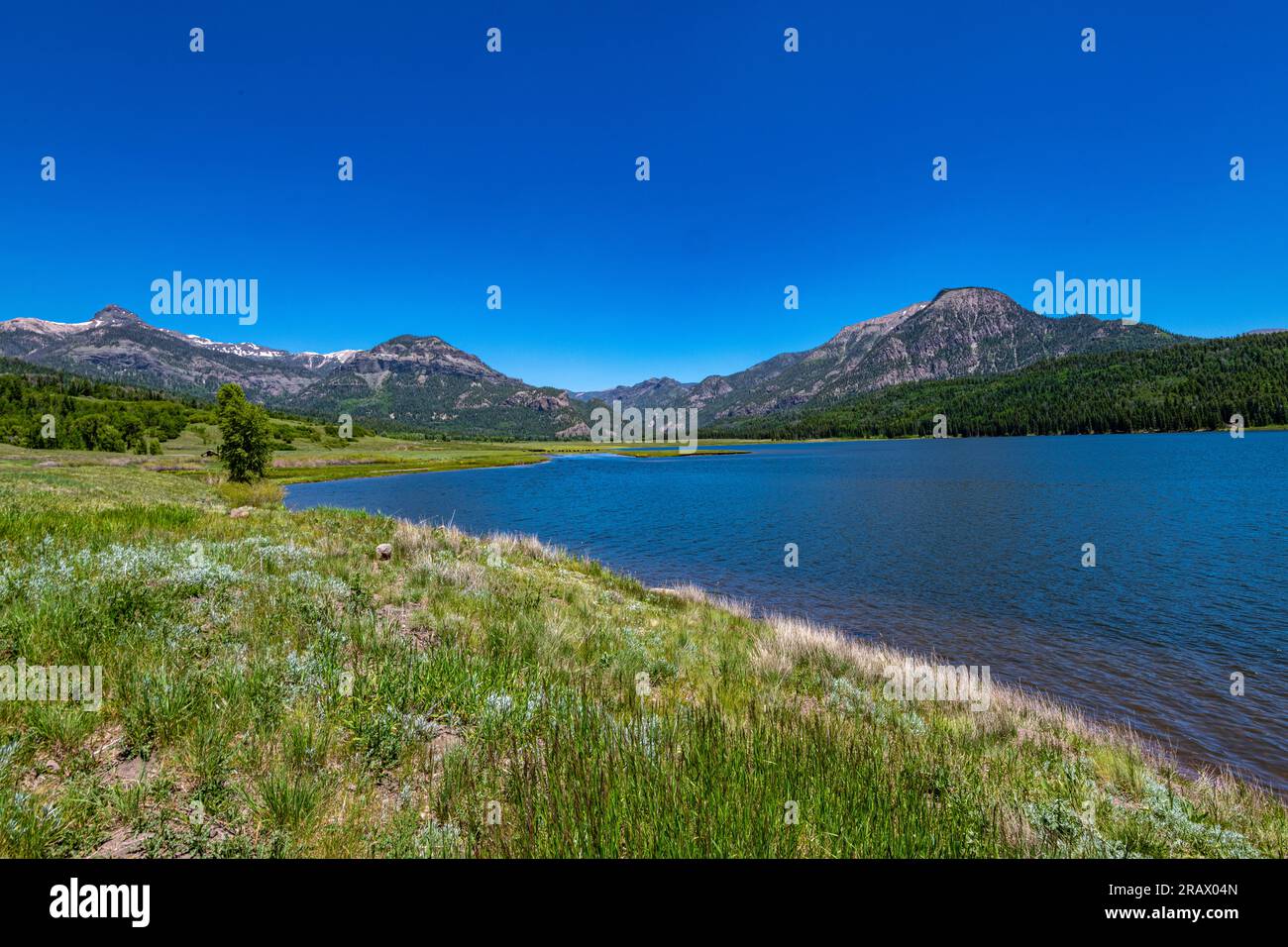 Williams Reservoir e Creek si trovano nella natura selvaggia tra Pagosa Springs e Lake City Foto Stock