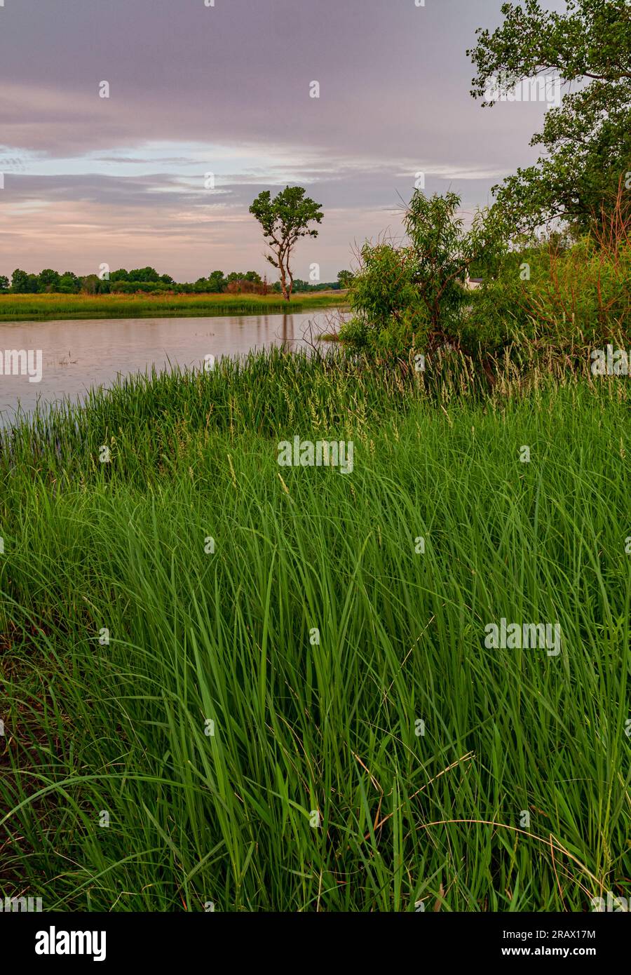 Goose Lake brilla di luce mattutina, Goose Lake Prairie State Park, Grundy Couty, Illinois Foto Stock