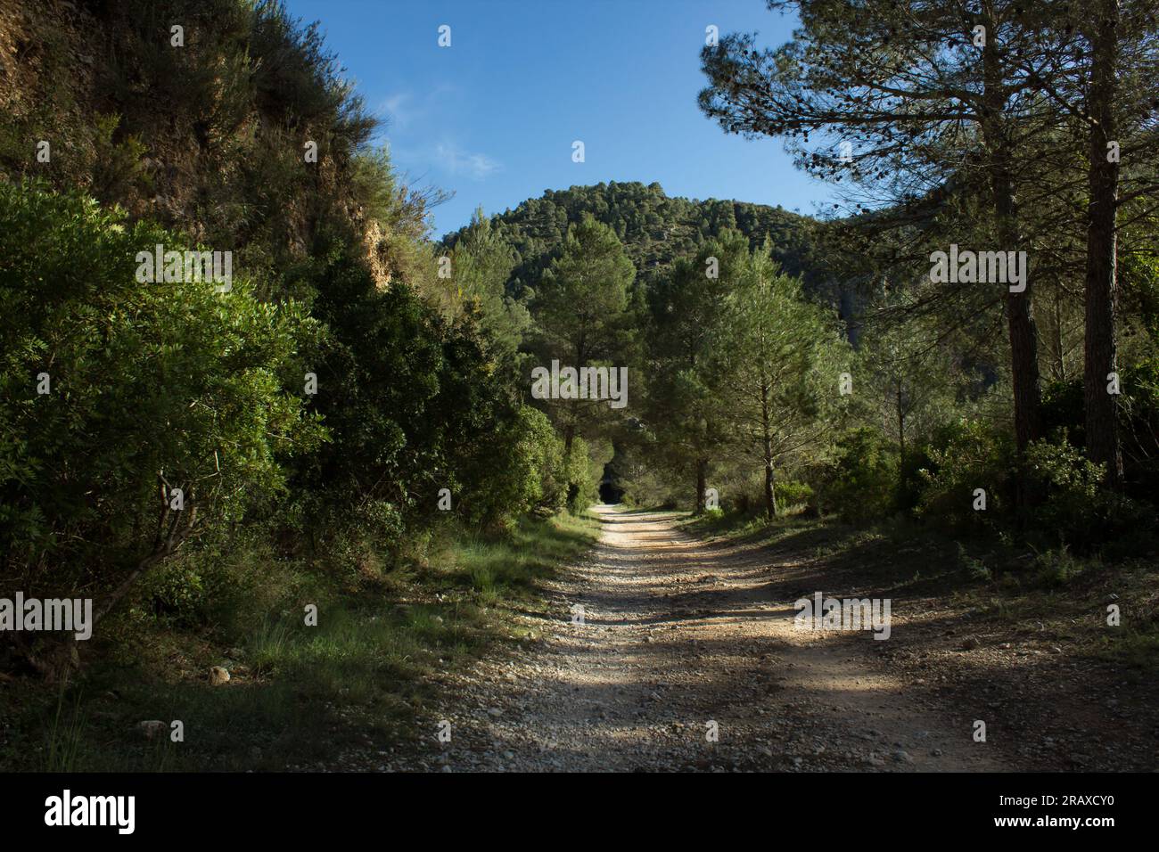Paesaggio della vecchia linea ferroviaria tra Alcoy e Ganda trasformato in un percorso escursionistico Foto Stock