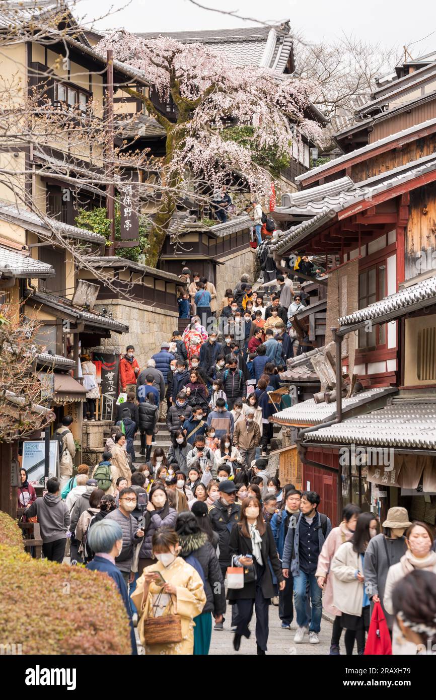 Sannenzaka ciliegi in fiore. Primavera nello storico quartiere di Higashiyama. Kyoto, Giappone. Foto Stock