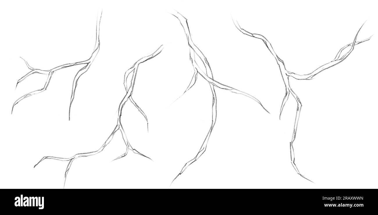 Impostare i rami asciutti isolati su uno sfondo bianco, illustrazioni a matita in stile di schizzo Foto Stock