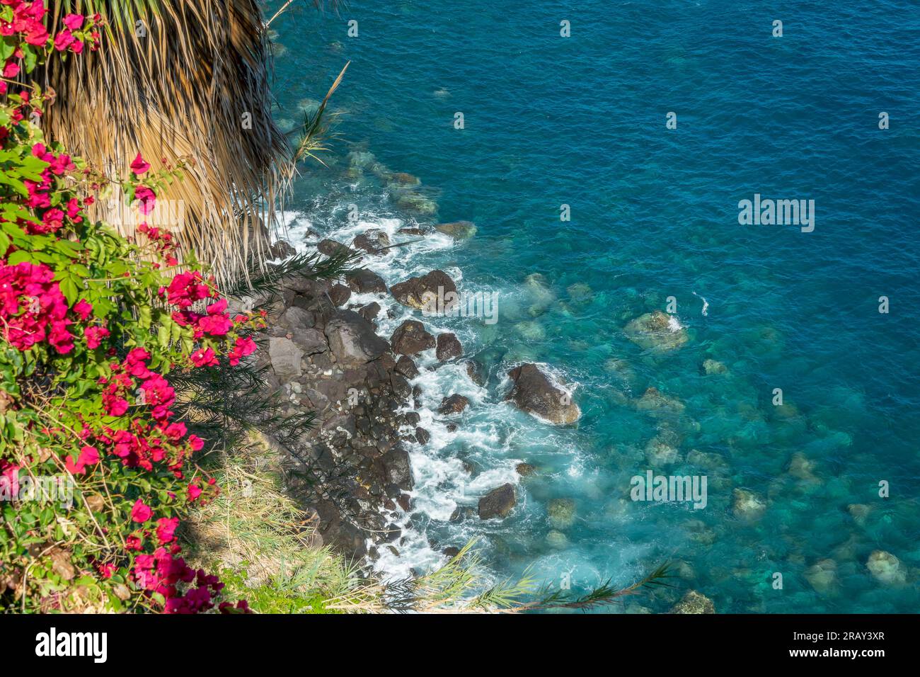 Vista sull'oceano con fiori di bouganville e palme sull'isola di Madeira, Portogallo Foto Stock