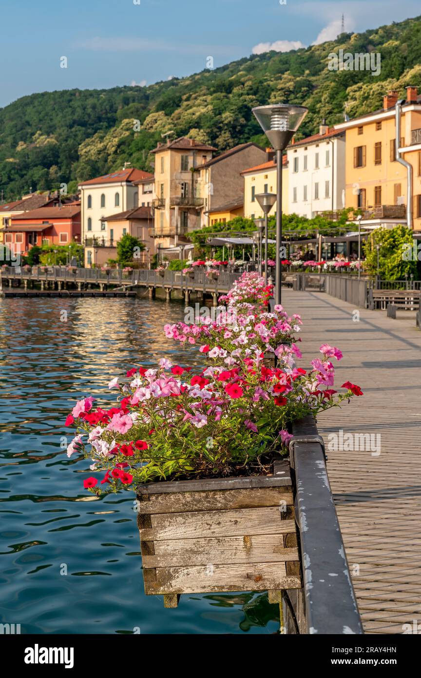 Fiori colorati decorano il lungolago di Porto Ceresio, Italia Foto Stock