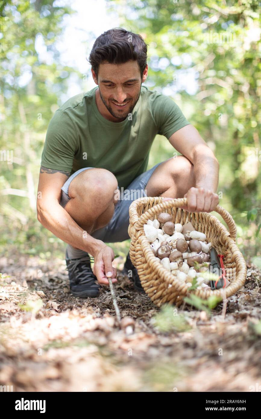 uomo che raccoglie funghi nella foresta Foto Stock