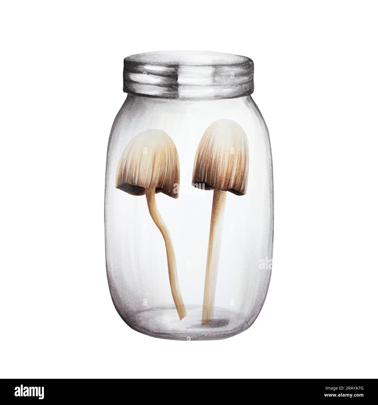 Vaso in vetro acquerello. Dipingere a mano un contenitore vuoto per le vacanze di halloween, isolato su sfondo bianco. Per designer, decorazioni, negozi, postc Foto Stock