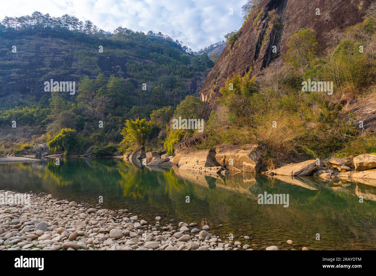 Un boschetto di alberi di bambù e insolite formazioni rocciose sul fiume Nine Tend a wuyishan in cina nella provincia del fujian, spazio copia per testo, orizzontale Foto Stock