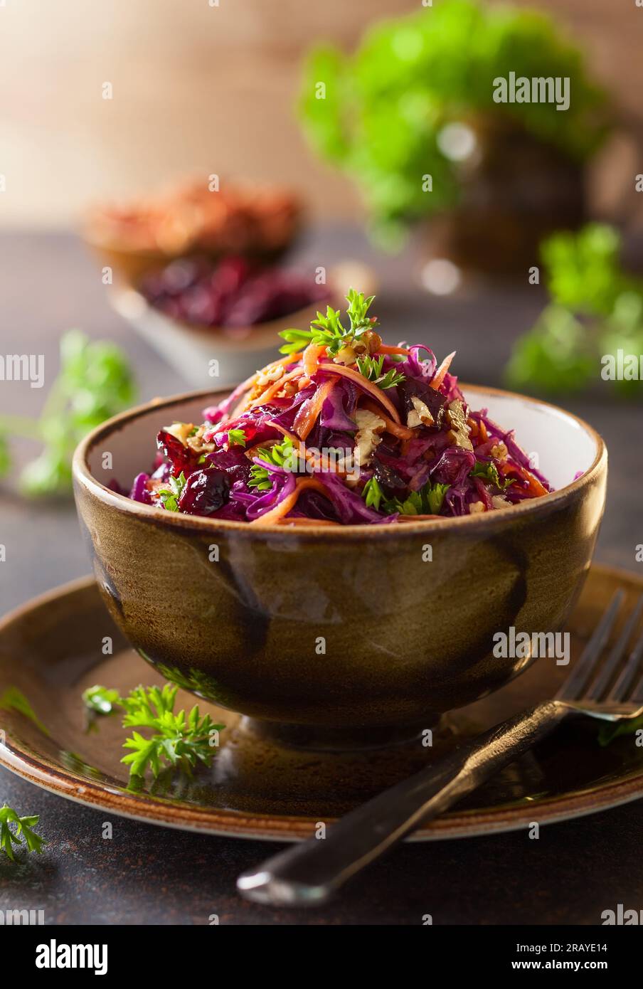 Cavolo rosso, carote, insalata di mele con noci e mirtilli rossi. Insalata di cavolo per l'autunno o l'inverno. Foto Stock