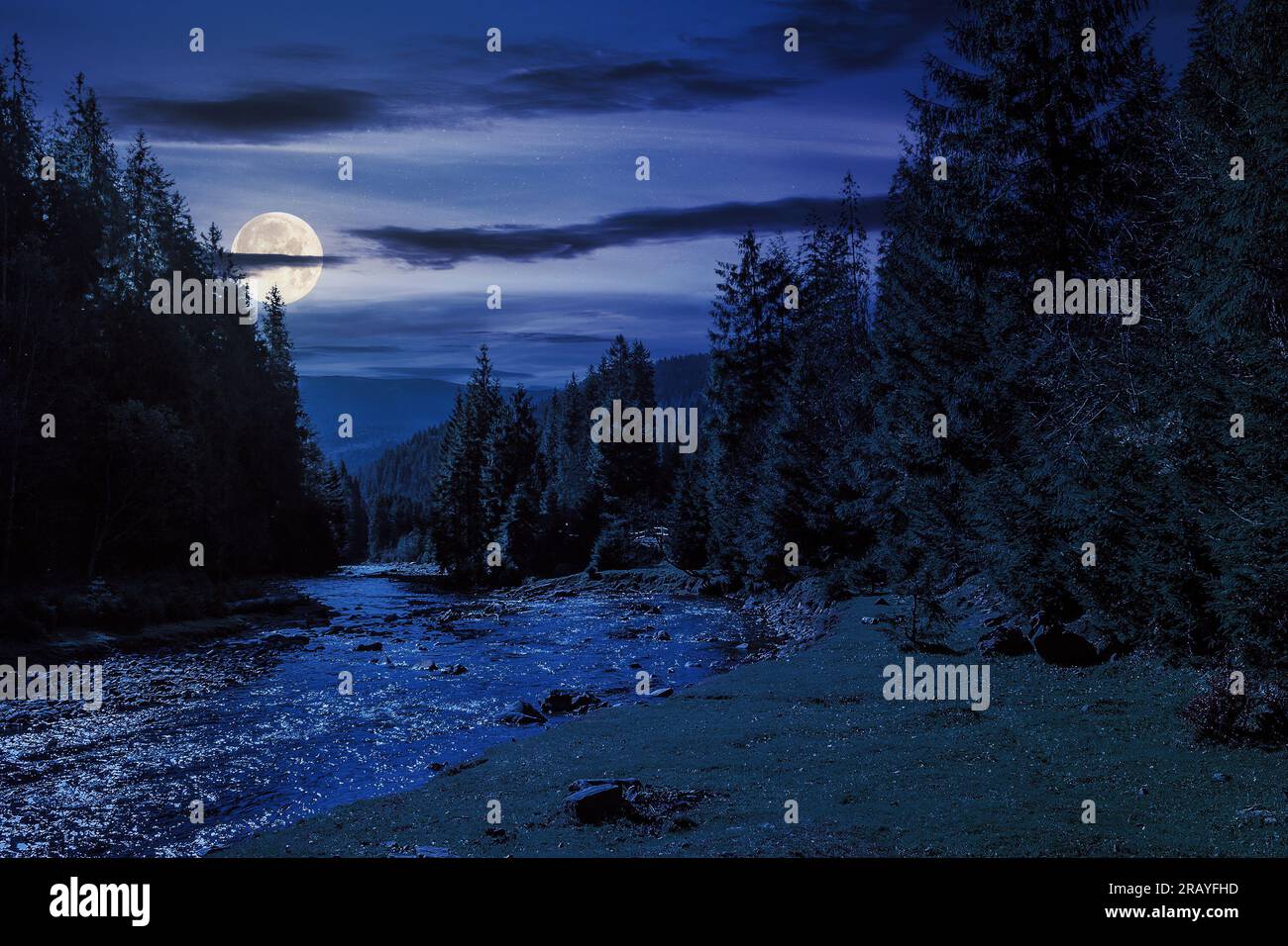 paesaggio autunnale di notte. costa rocciosa del fiume che scorre vicino alla pineta ai piedi della montagna in piena luce della luna Foto Stock