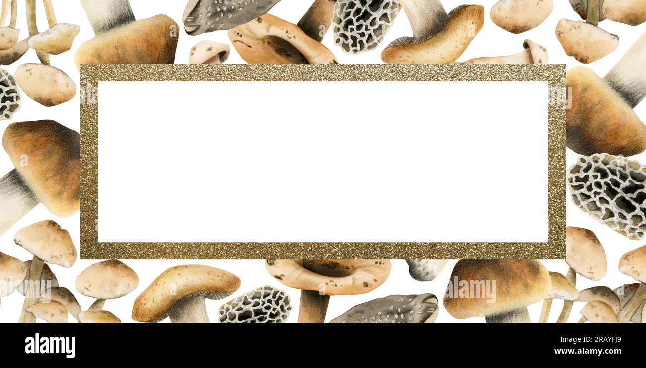 Struttura rettangolare a funghi commestibili marrone con bordo dorato ad acquerello. Modello di intestazione orizzontale Foto Stock