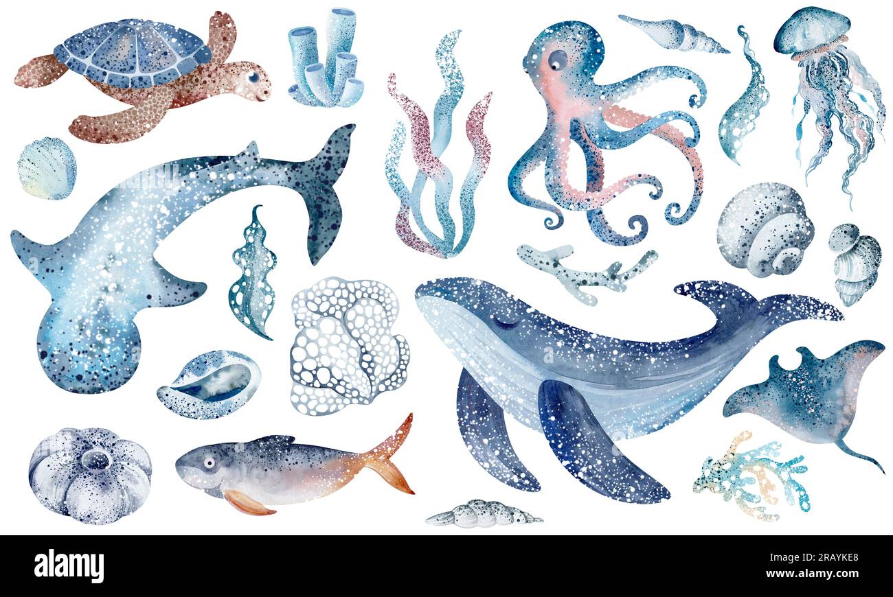 Serie di animali marini sottomarini, polpi, cavallucci marini, granchi, stelle marine, meduse. Abitanti marini del mondo sottomarino. gli elementi animali isolano Foto Stock