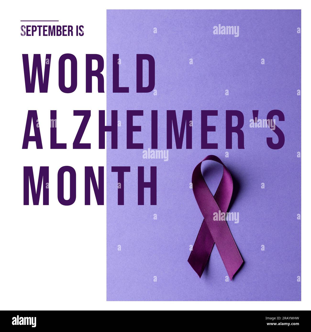 Settembre è il testo del mese di alzheimer mondiale e il nastro viola su viola e bianco Foto Stock