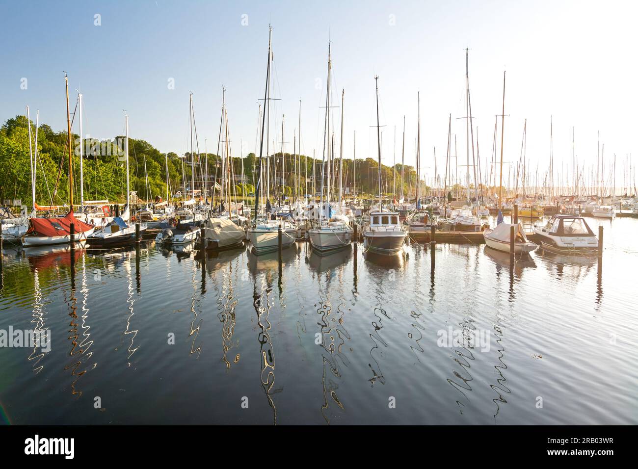 Barche a vela in un porticciolo (Fahrensodde) al tramonto sul Mar Baltico nella Germania settentrionale Foto Stock